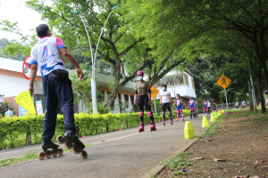 Formación en Patinaje